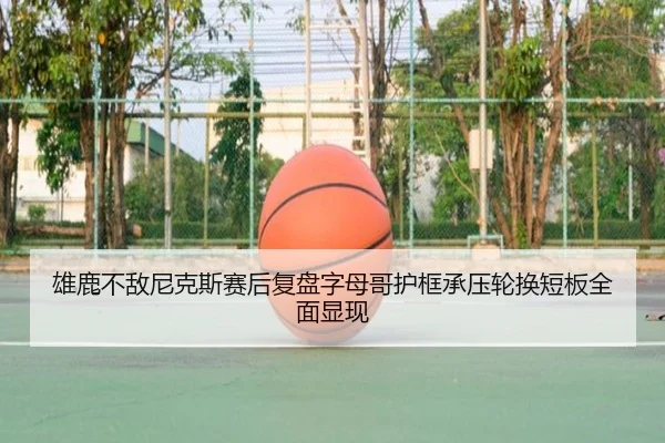 img_1783350542932_2057_1_677.jpg
